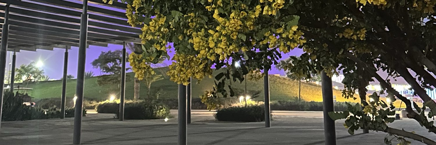 l_reb1's profile banner image