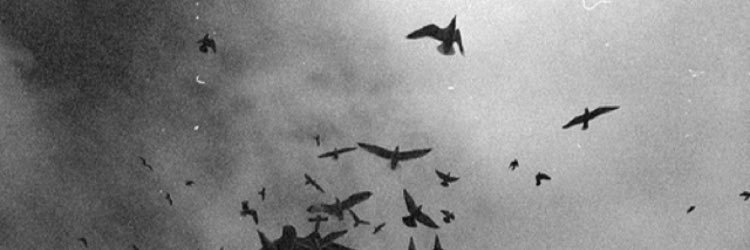 ae_e111's profile banner image