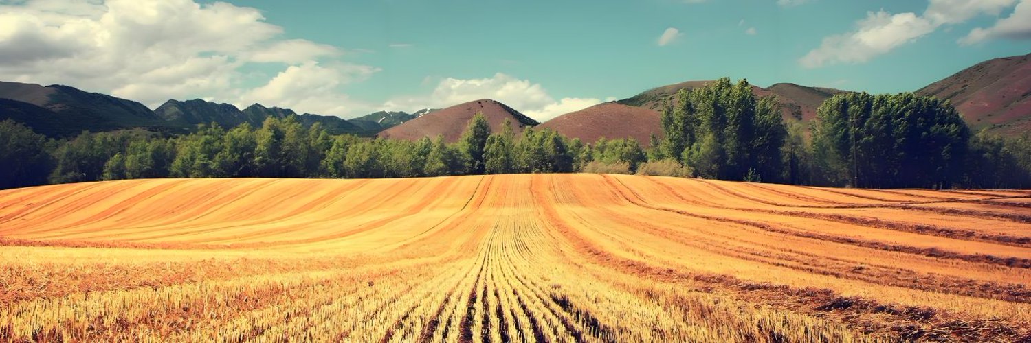Mary 🍓 banner