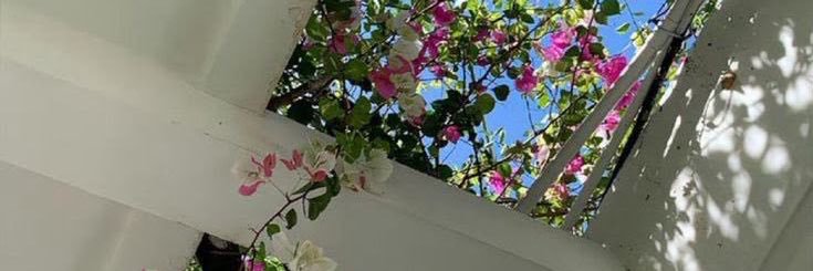 𝓢🌸🦋🧚🏽 banner