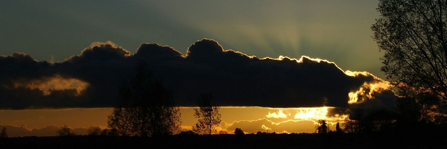 Geoff🇮🇱🇬🇧🎗️ banner