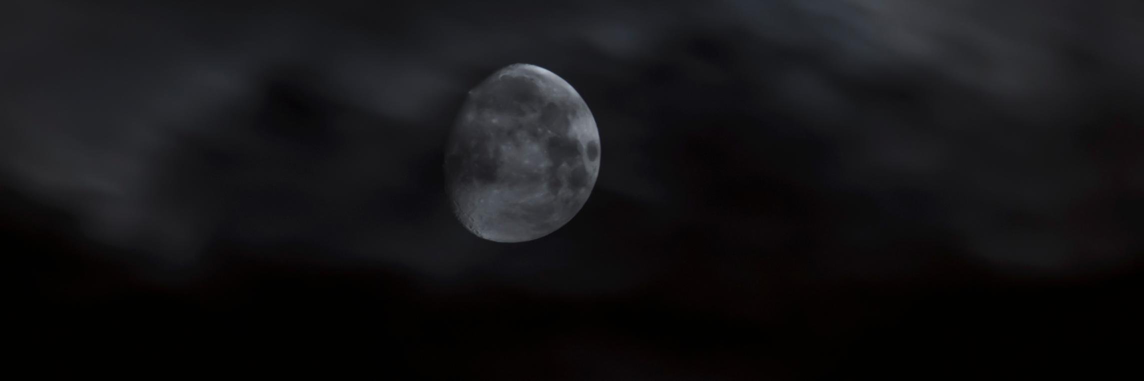 londowl's profile banner image