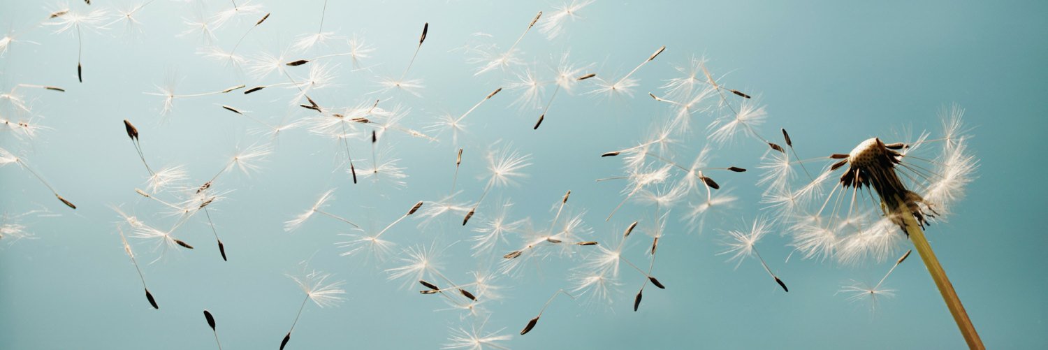 Laura Mari Barrajón banner