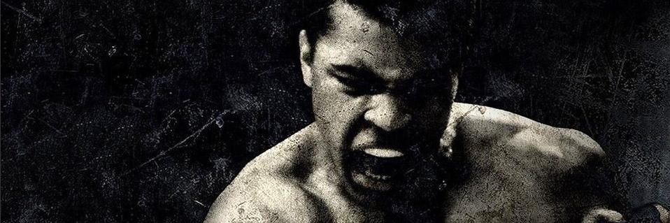Cuhadarzade's profile banner image