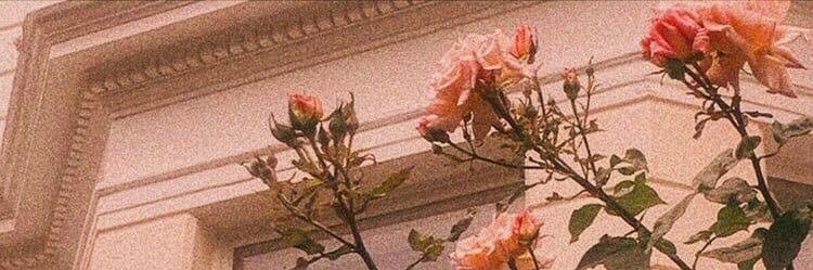 هنا ذات الراء✨ banner