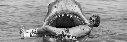 Stephen Cowie banner