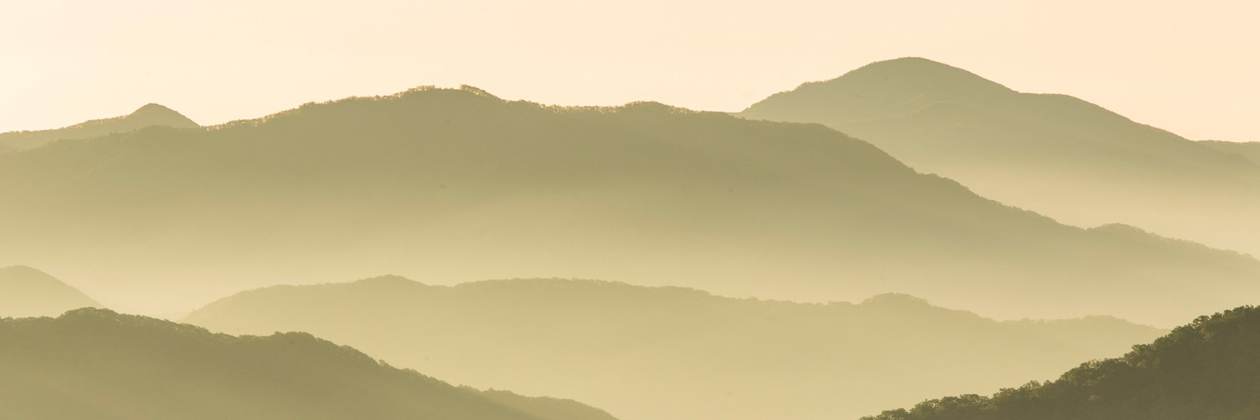 donofriog's profile banner image