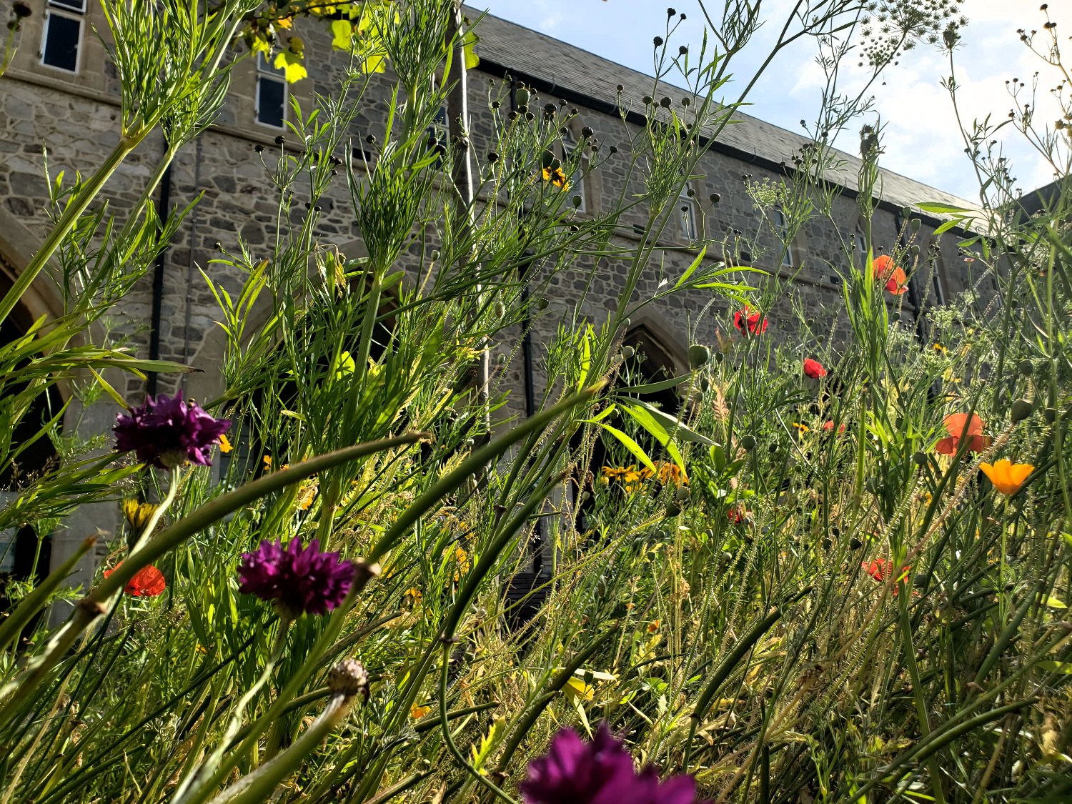 University of Exeter Library banner