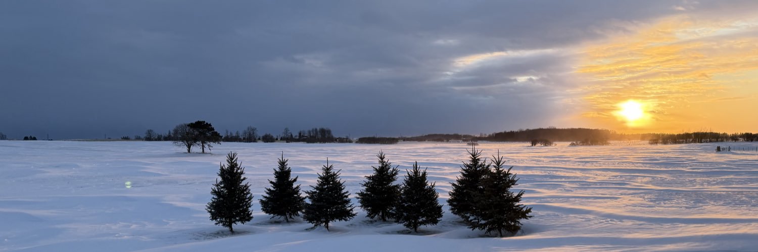 MaureenJ79's profile banner image