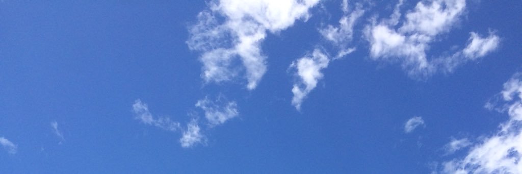 mihonomimi's profile banner image
