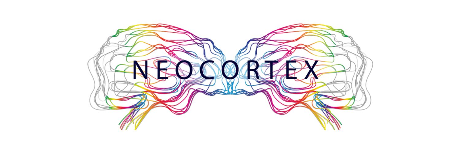 aybuneocortex's profile banner image