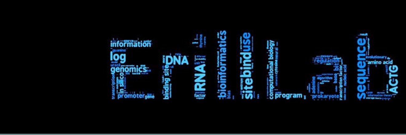 ErillLab banner