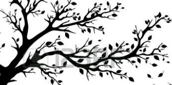 colette_mulongo's profile banner image