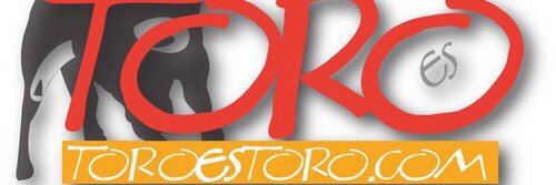 toroestoro.com banner