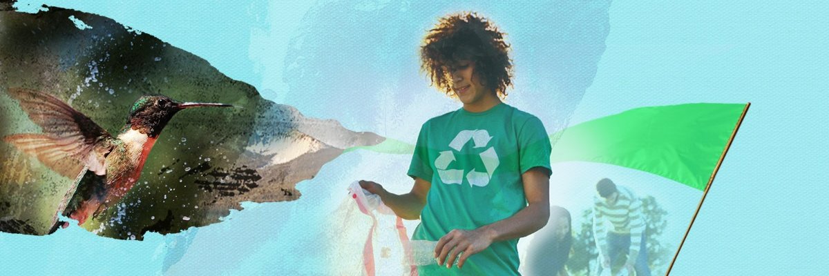NWFEcoLeaders's profile banner image