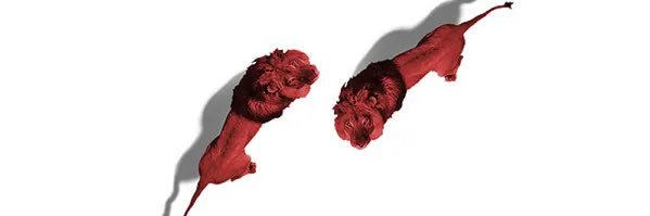 doudou cross bitume banner