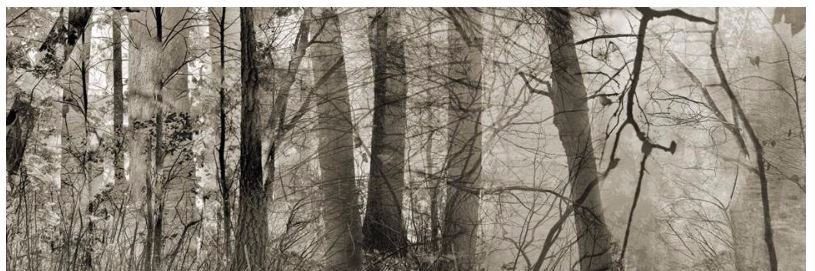 Mohan K. Bavirisetty banner