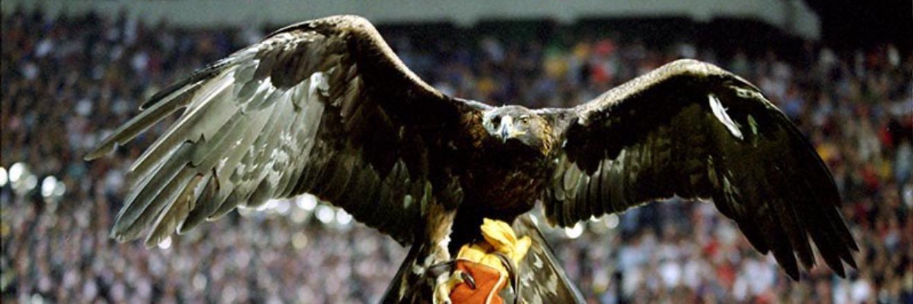 Horatio “The Show “ Fields banner