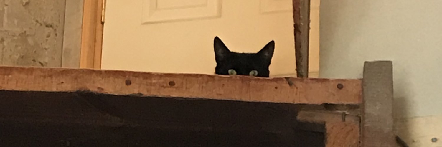 ConnieCofre's profile banner image