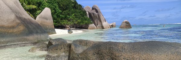 AMCzarnecka Profile Banner