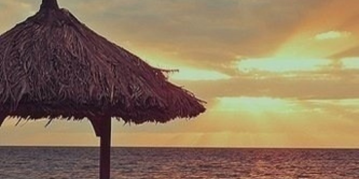 55556_n's profile banner image