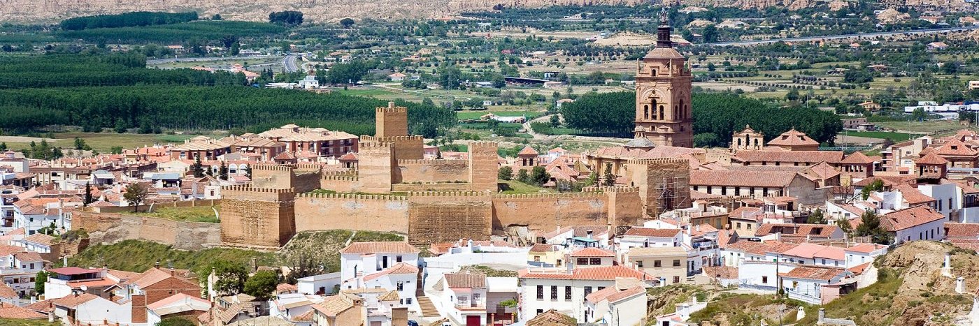 Ignacio Comino banner