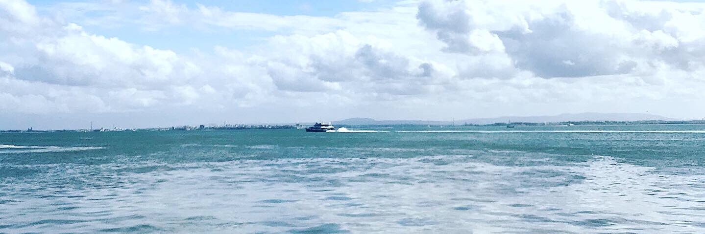 Deb Popplewell banner