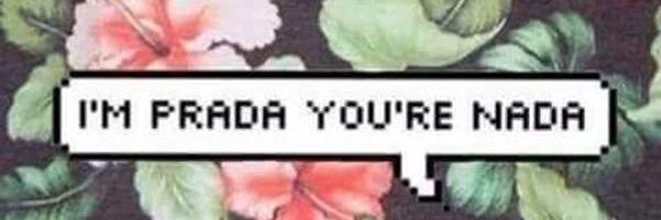 graycicosta's profile banner image