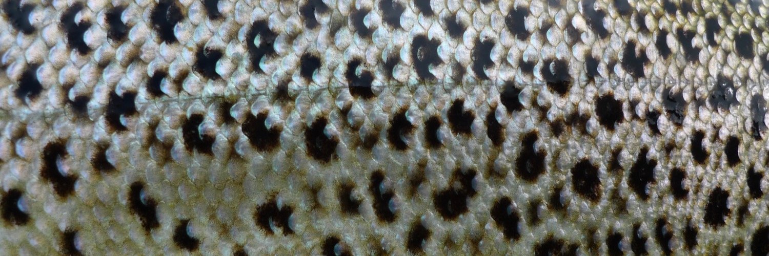 Howard Taylor banner