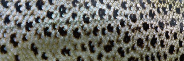 Upstreamdry Profile Banner