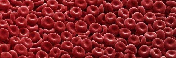 Indiana Health Industry Forum (IHIF) banner