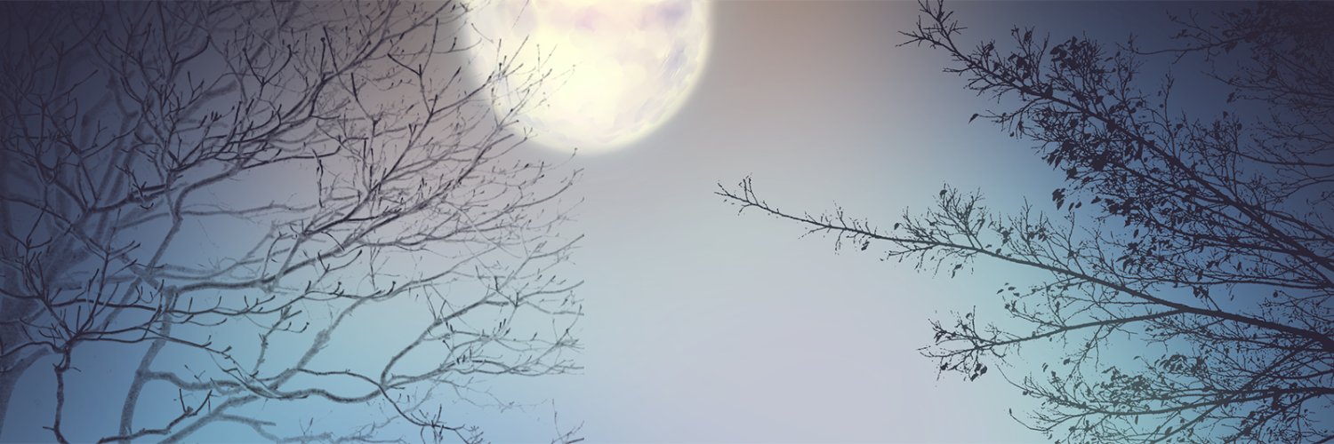liller005's profile banner image