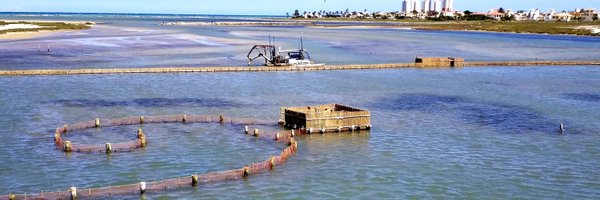 gonz_zapater Profile Banner