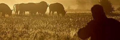 Boswachter Poulussen banner