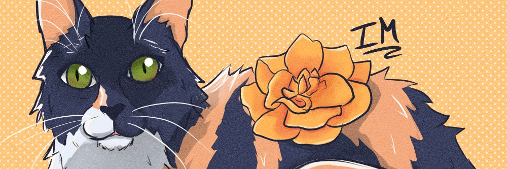 AlbertoFernor's profile banner image
