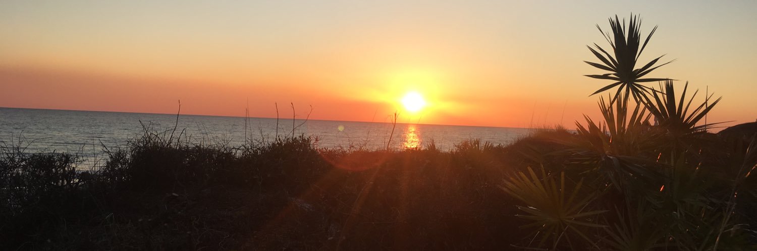 emilyseitzinger's profile banner image