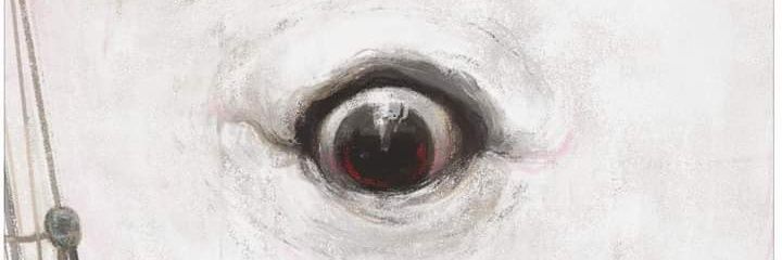 Omar18__'s profile banner image