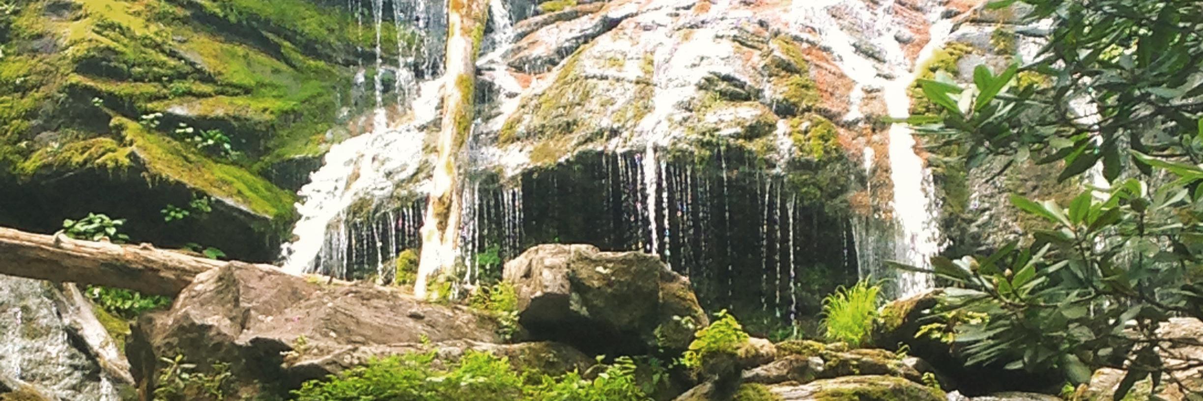 LARogerson's profile banner image