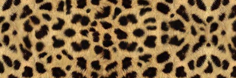 sherrynjones's profile banner image