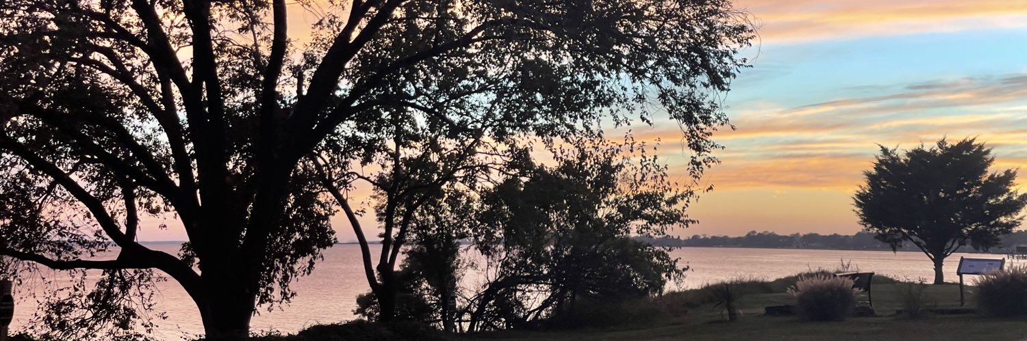 challise martin banner
