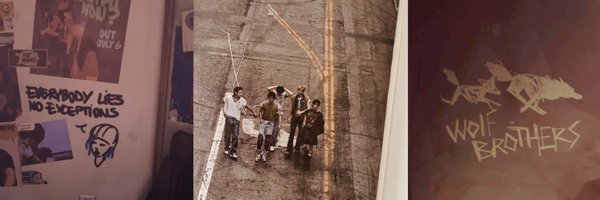 faecases Profile Banner