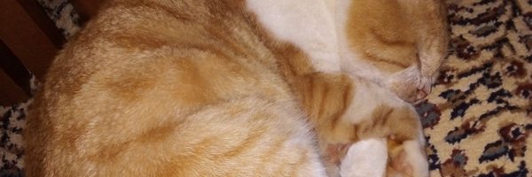 V2k3lc0oxa7vxSi Profile Banner