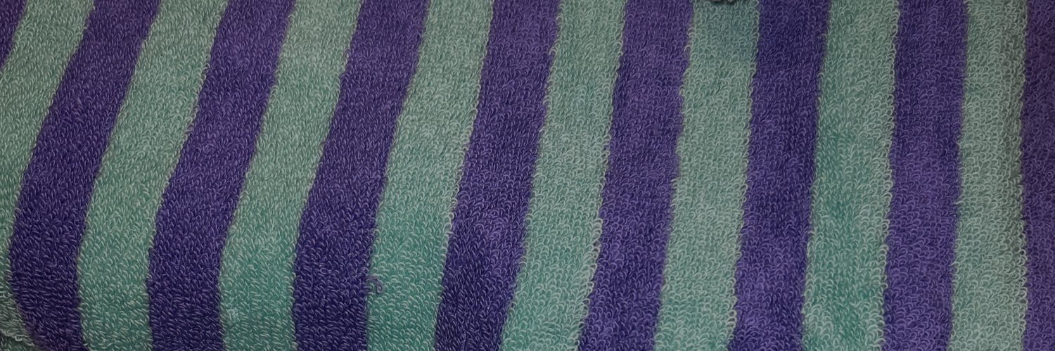 ぽぽちゃん🐶 banner