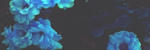 11melulus11's profile banner image