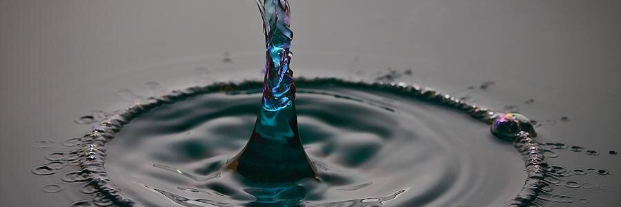 robin stephens banner