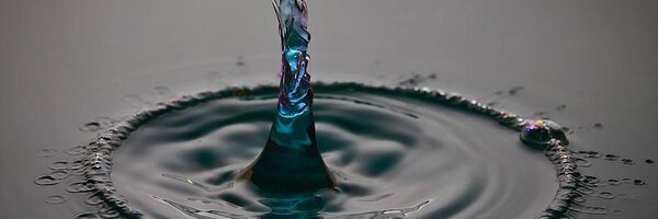 Robin031Robin Profile Banner