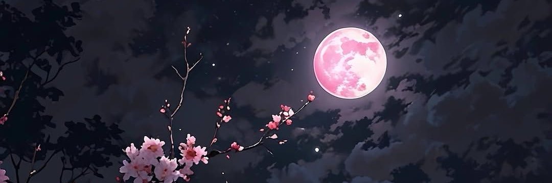 Netoorl's profile banner image