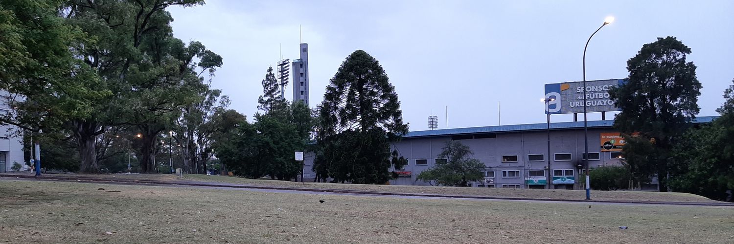 Juan Andrés Silva banner