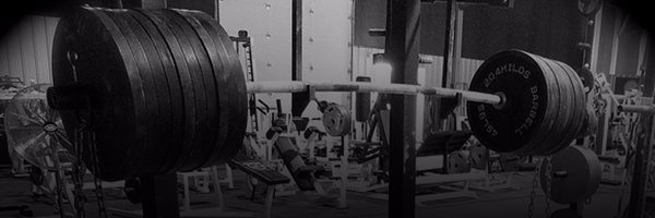 USAPLWA Profile Banner