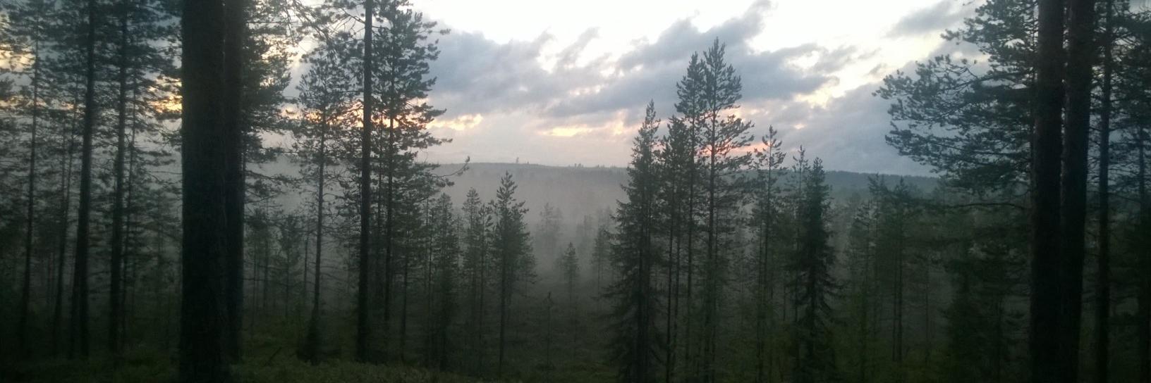 markokesti's profile banner image